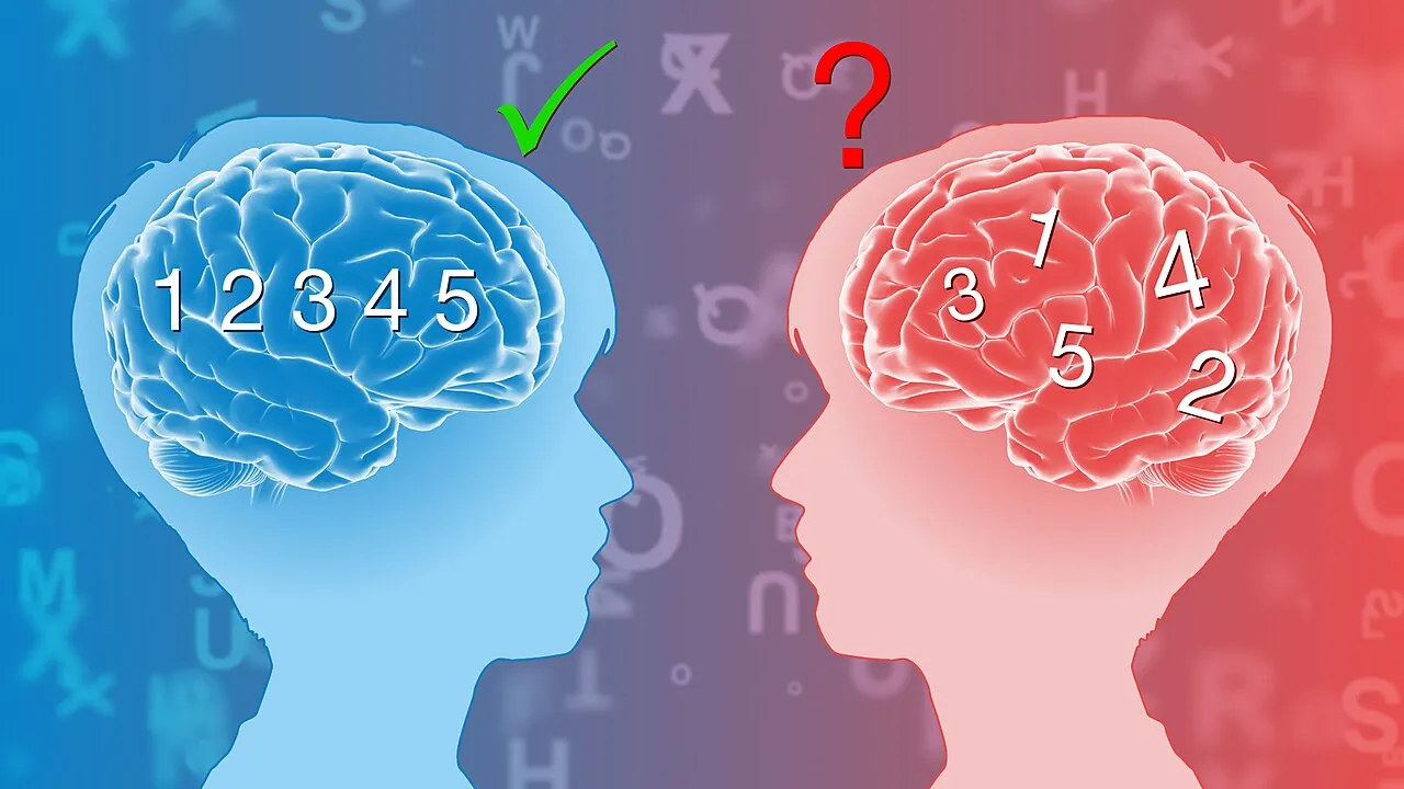 Ilustração de dois perfis de cabeça com cérebros e letras ao fundo, representando o processamento diferente da leitura na dislexia